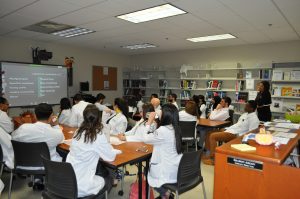 Interprofessional Education Day